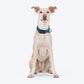 HUFT Basics Dog Collar - Teal Blue - Heads Up For Tails