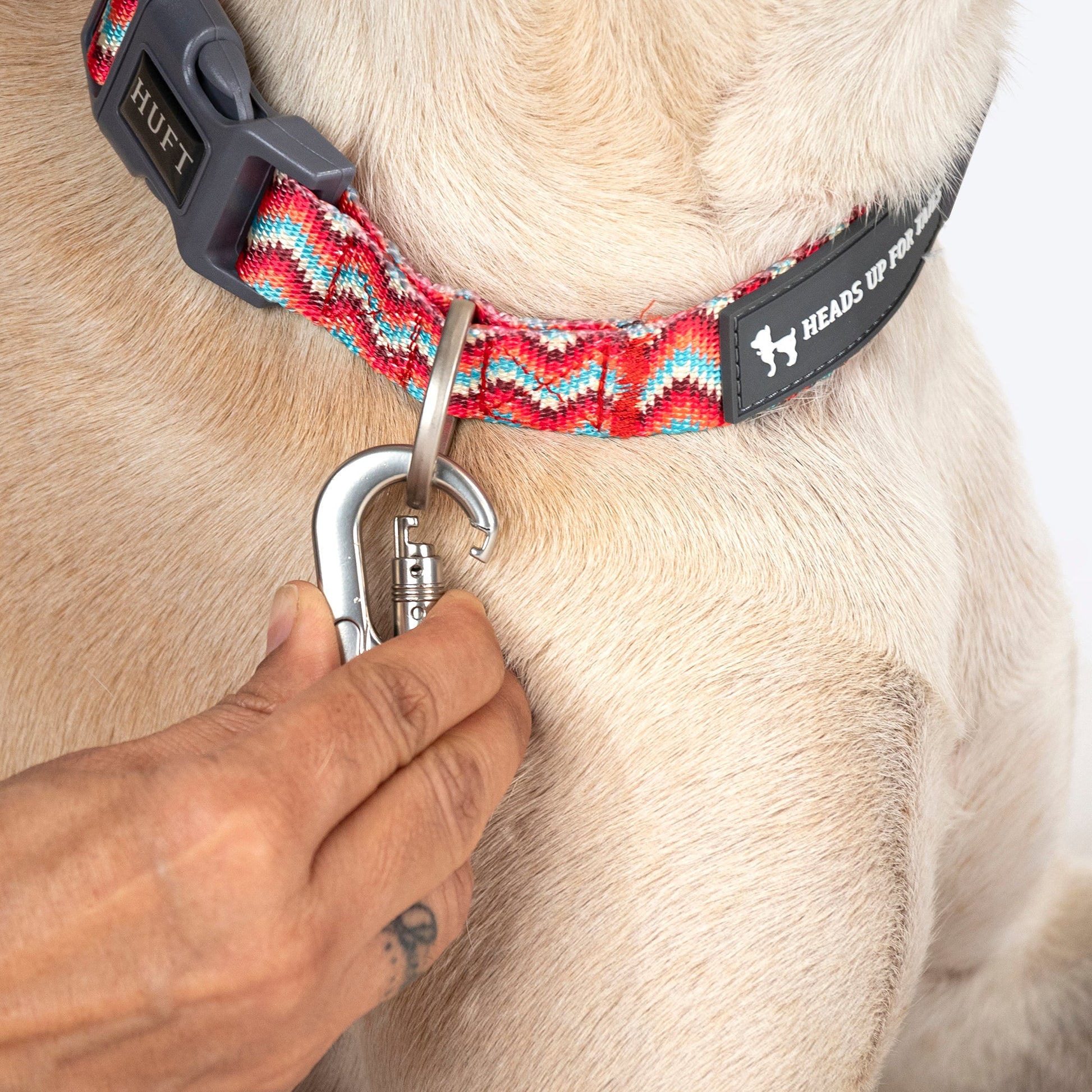 HUFT Zig Zag Galaxy Leash For Dog - Red - Heads Up For Tails