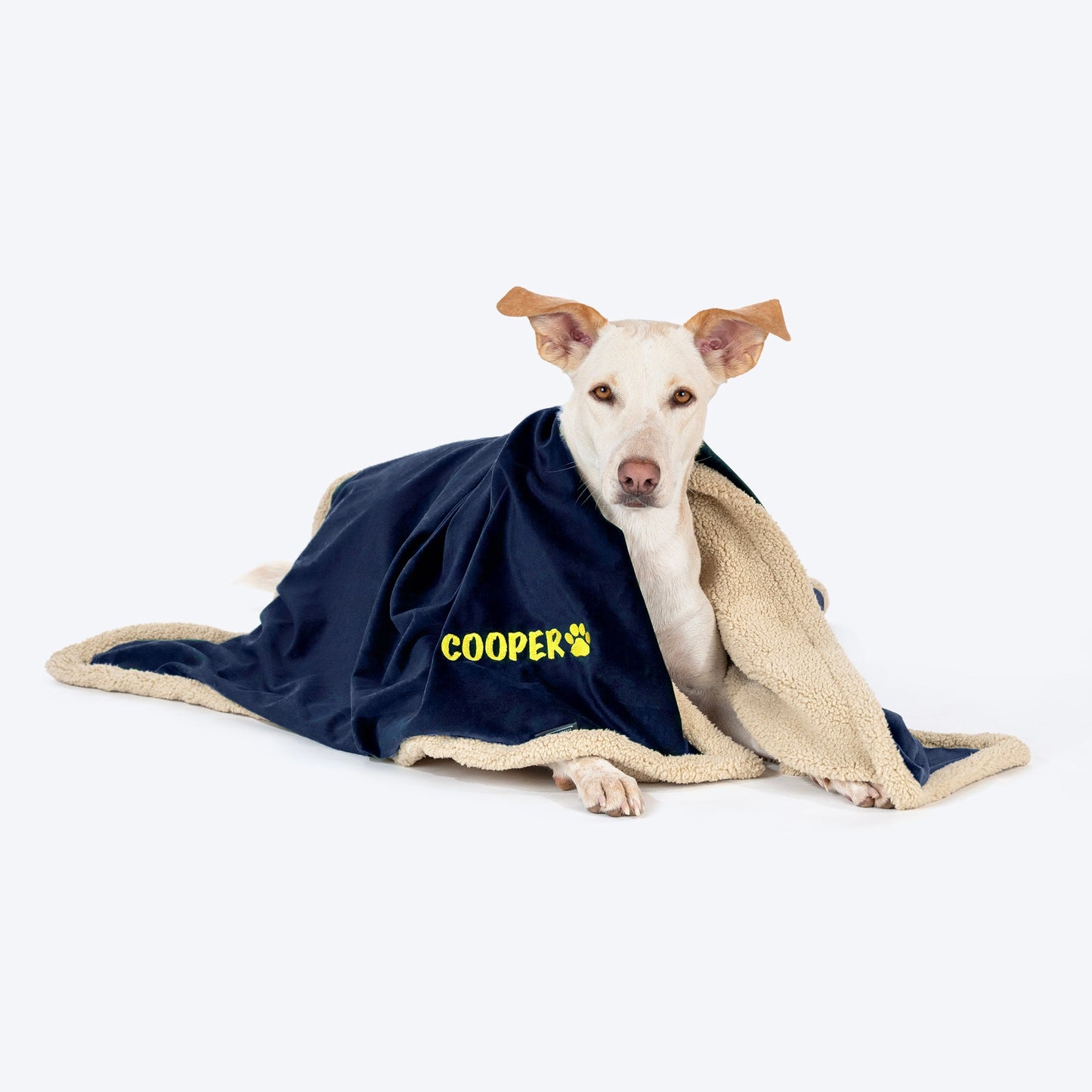 HUFT Personalised Luxe Velvet Blanket For Dog & Cat - Dark Navy - Heads Up For Tails
