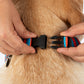 HUFT Summer Bloom Bow Tie With Collar For Dog - Blue - Heads Up For Tails