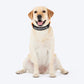 HUFT Personalised Xplorers (Mobile No.) Dog Collar - Black - Heads Up For Tails