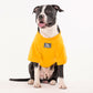 HUFT Best Dog Ever Pet Sweatshirt - Yellow - Heads Up For Tails