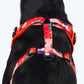 HUFT Petal Play Adjustable Dog Harness - Orange_04