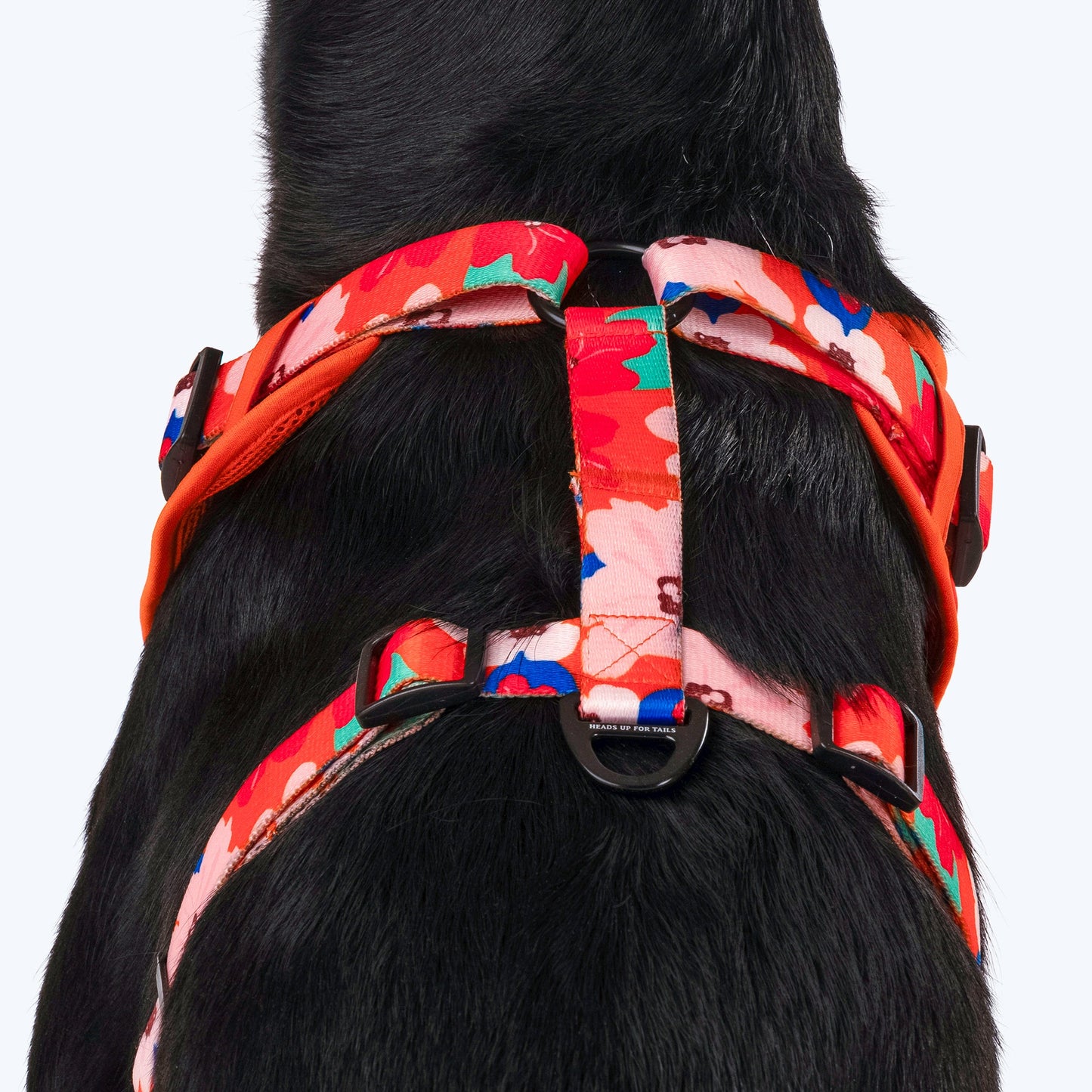 HUFT Petal Play Adjustable Dog Harness - Orange_04