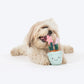 HUFT Star Power Squeaky Plush Toy For Dog - Multicolor - Heads Up For Tails