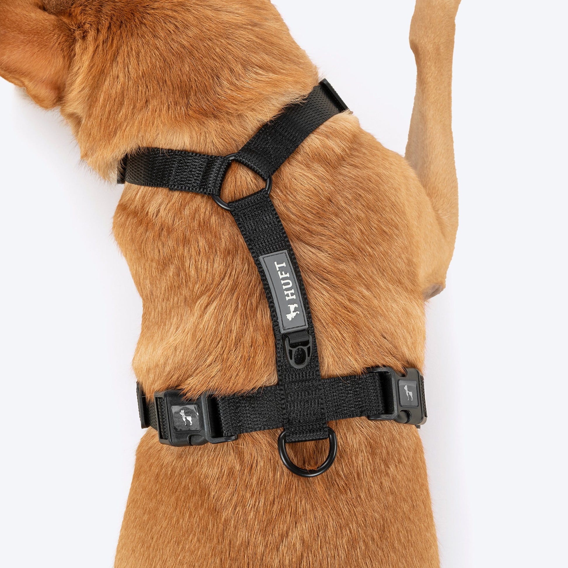 HUFT Classic H Harness For Dog - Coal Black - Heads Up For Tails