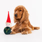 HUFT Mr. Mistletoe Cuddle Dog Toy (Red and Green) - Heads Up For Tails