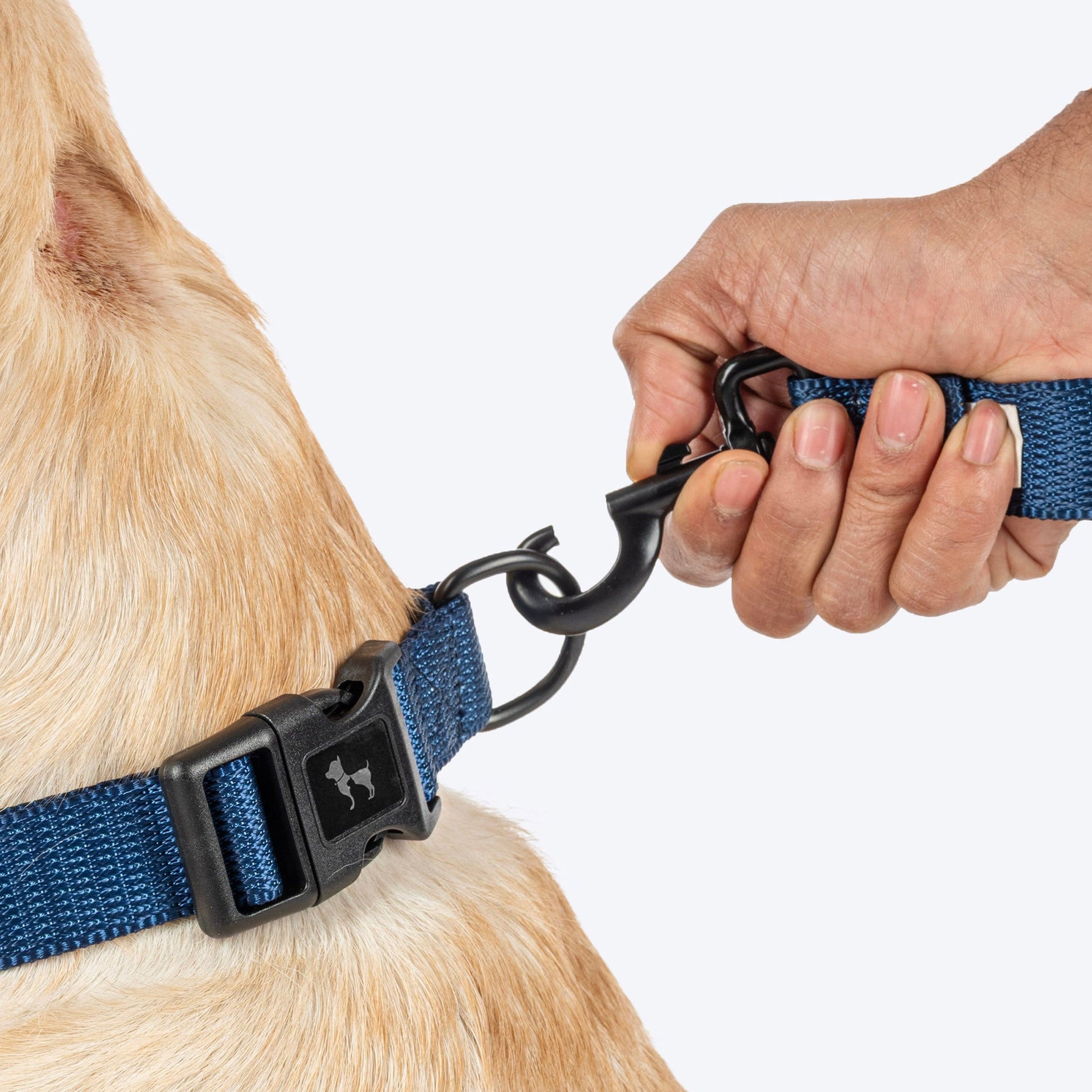 HUFT Personalised Classic (Mobile No.) Dog Collar - Navy - Heads Up For Tails