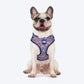 Dash Dog Pixel Easy Walk Harness For Dog - Purple - Heads Up For Tails