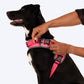 HUFT Easy On Dog Harness - Pink (Can be Personalised) - Heads Up For Tails