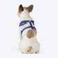 Dash Dog Pixel Easy Walk Harness For Dog - Purple - Heads Up For Tails