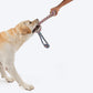 HUFT Tuggables Tug Tornado Rope Toy For Dog - Multicolor - Heads Up For Tails