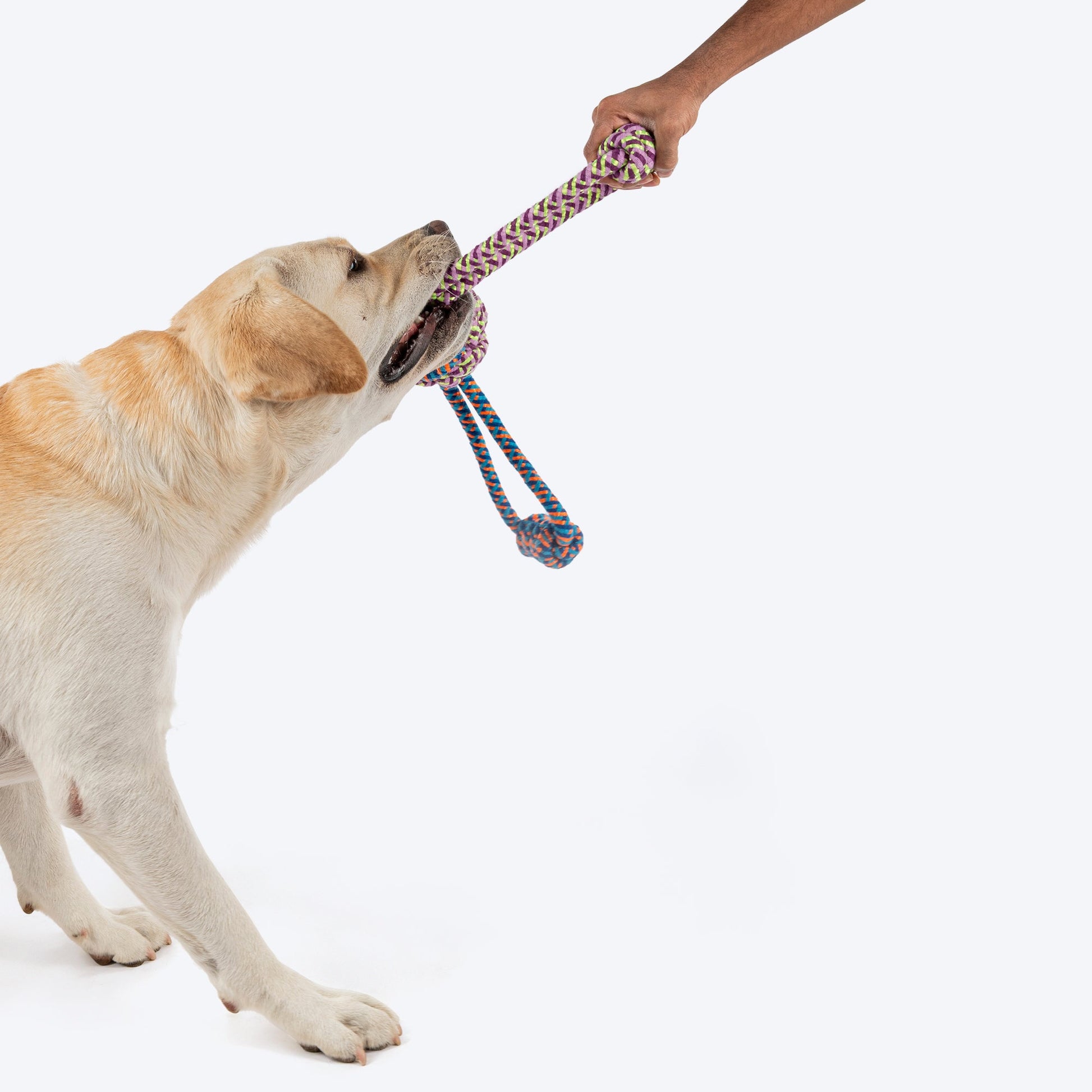 HUFT Tuggables Tug Tornado Rope Toy For Dog - Multicolor - Heads Up For Tails