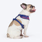 Dash Dog Chevron Easy Walk Harness For Dog - Purple - Heads Up For Tails