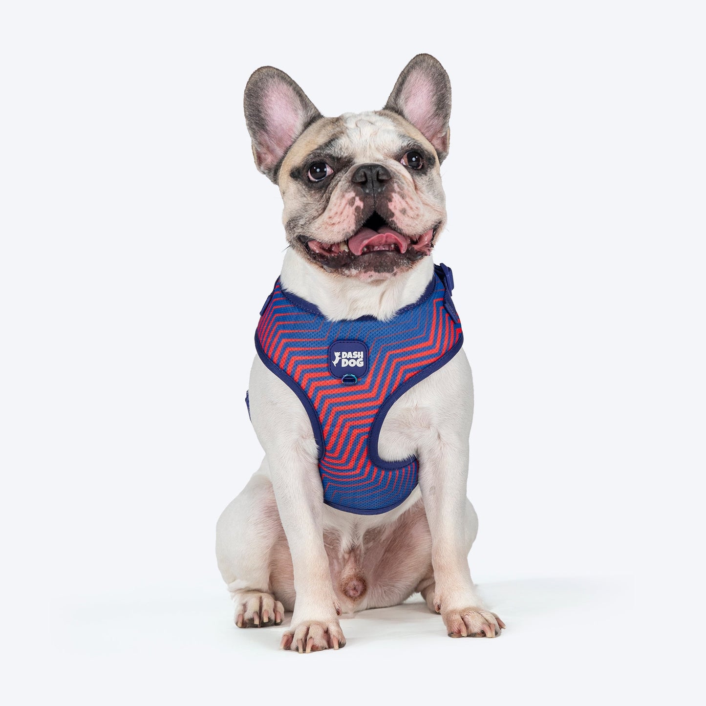 Dash Dog Chevron Easy Walk Harness For Dog - Purple - Heads Up For Tails