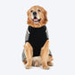 HUFT Sweetheart Stripe Sweater For Dog - Black & White - Heads Up For Tails