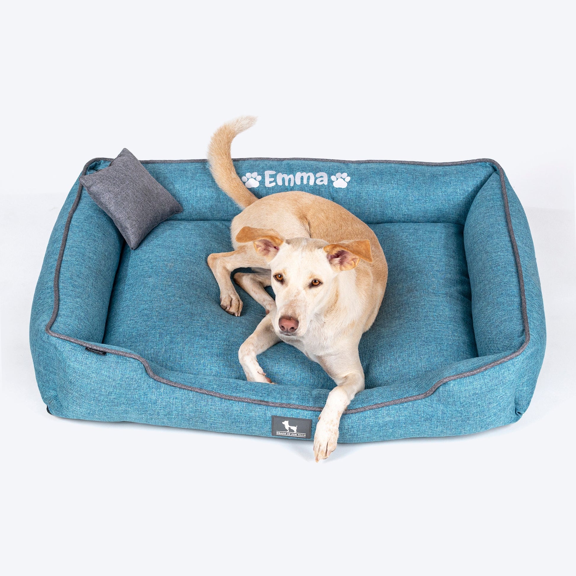 HUFT Personalised Nap Now Lounger Bed For Dog - Aqua Blue - Heads Up For Tails