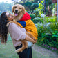 HUFT Colour Block Hoodie Pet Sweatshirt - Mustard - Heads Up For Tails