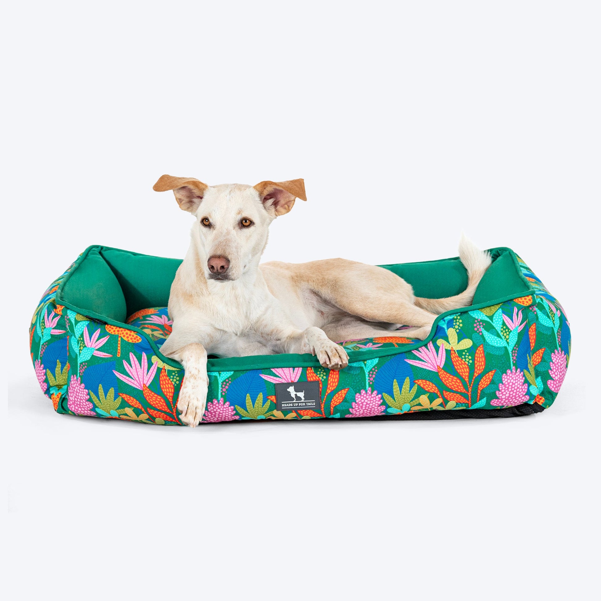 HUFT Rainbow Grove Lounger Dog Bed - Dark Green - Heads Up For Tails