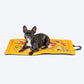 HUFT Blooming Days Mat For Dog & Cat - Yellow - Heads Up For Tails