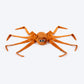 HUFT Webby Long-Legs Plush Toy For Dog - Brown - Heads Up For Tails