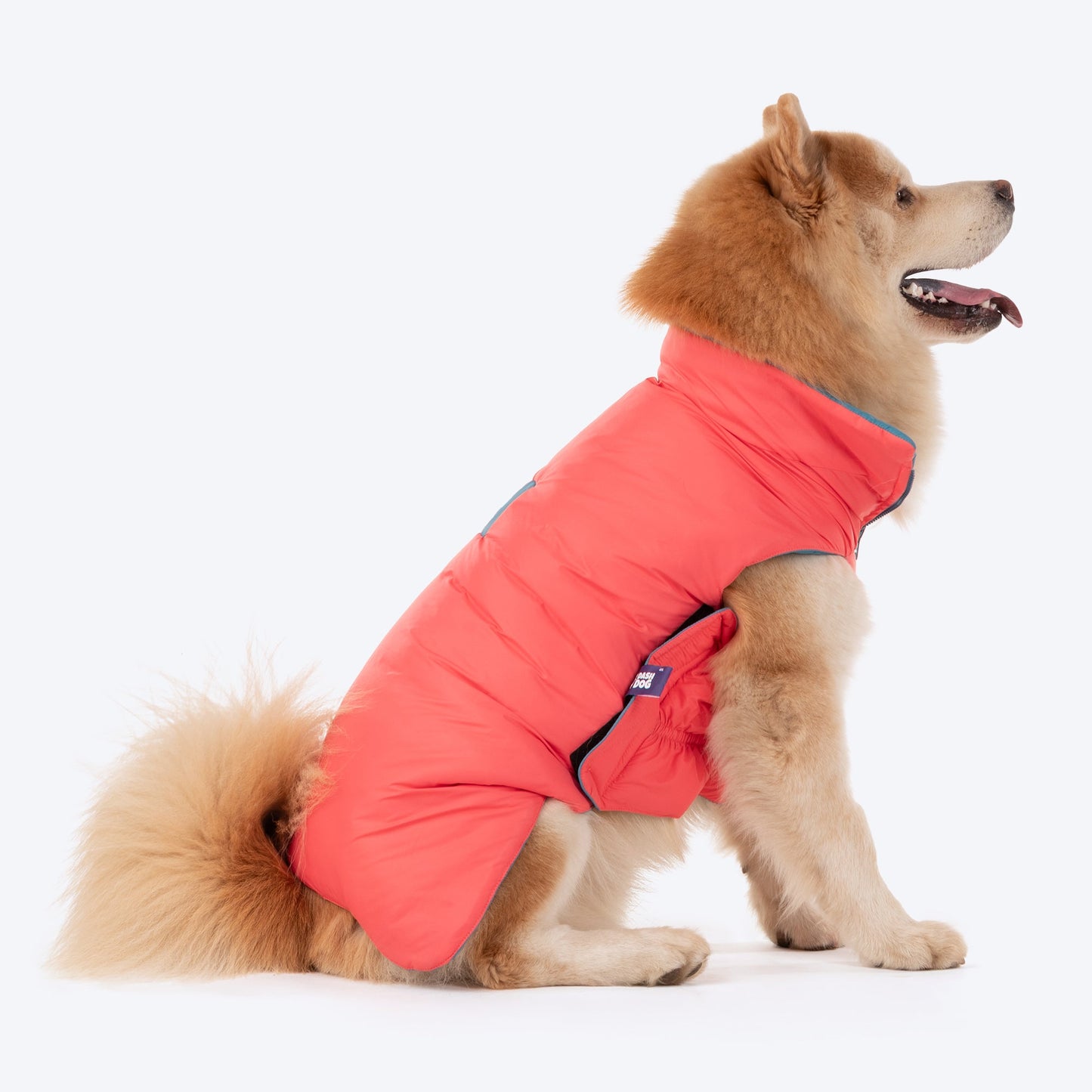 Dash Dog Puffer Dog Jacket - Aqua & Coral_06