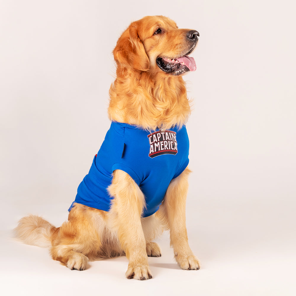 HUFT XÂ©Marvel T-Shirt For Dogs - Blue - Heads Up For Tails