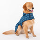HUFT The Indian Collective Tara Sitara Indigo Dog Jacket - Heads Up For Tails