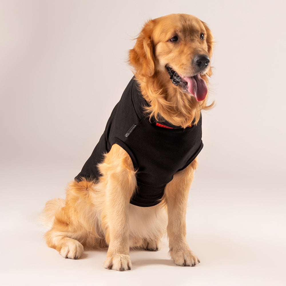 HUFT XÂ©Marvel T-Shirt For Dogs - Black - Heads Up For Tails