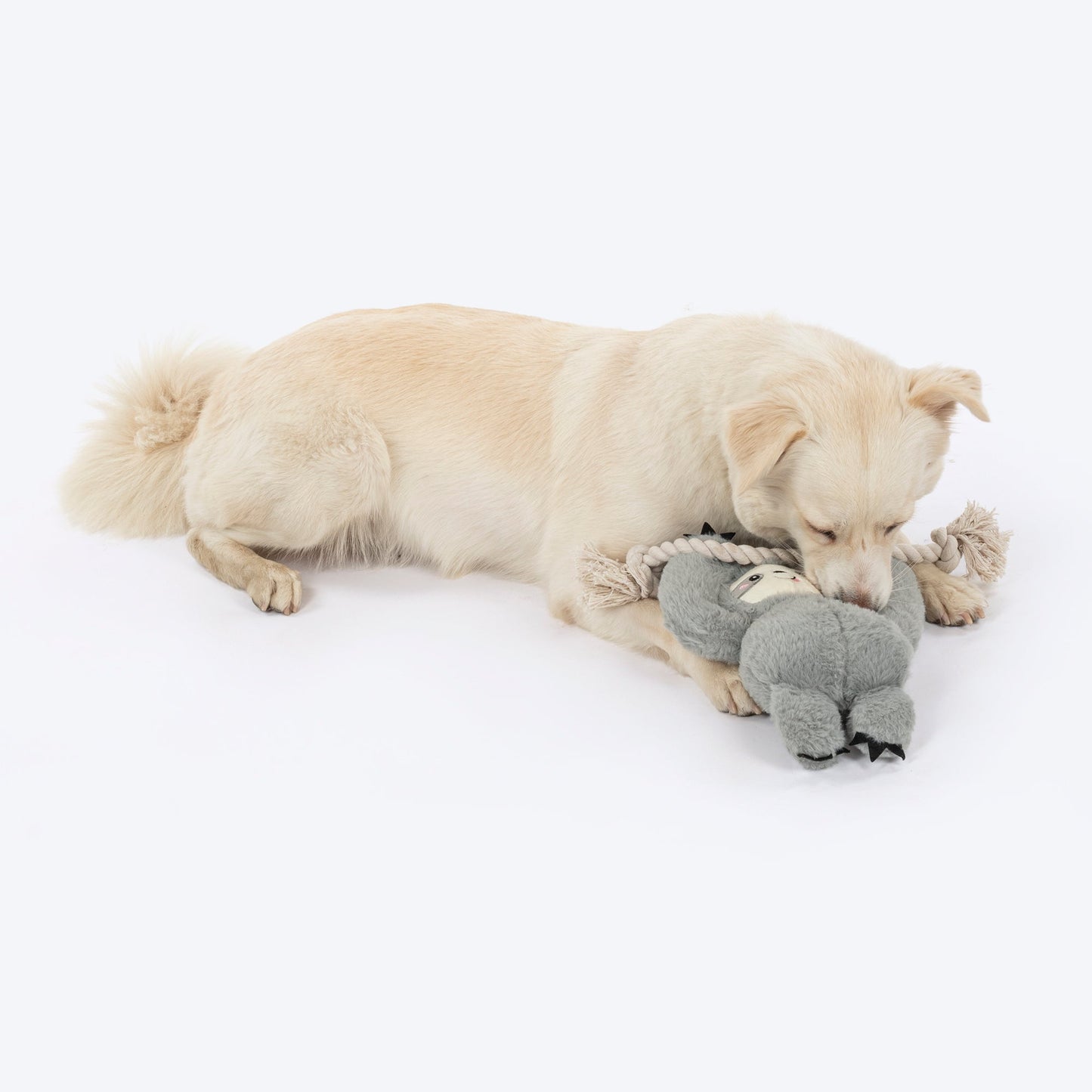 HUFT Sleepy Sloth Plush Toy for Dog - Grey - Heads Up For Tails