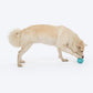 HUFT Chewtastic Balloon Chew Toy For Dog - Blue - Heads Up For Tails