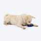 HUFT Chewtastic Roll-A-Tyre Chew Toy For Dog - Blue - Heads Up For Tails