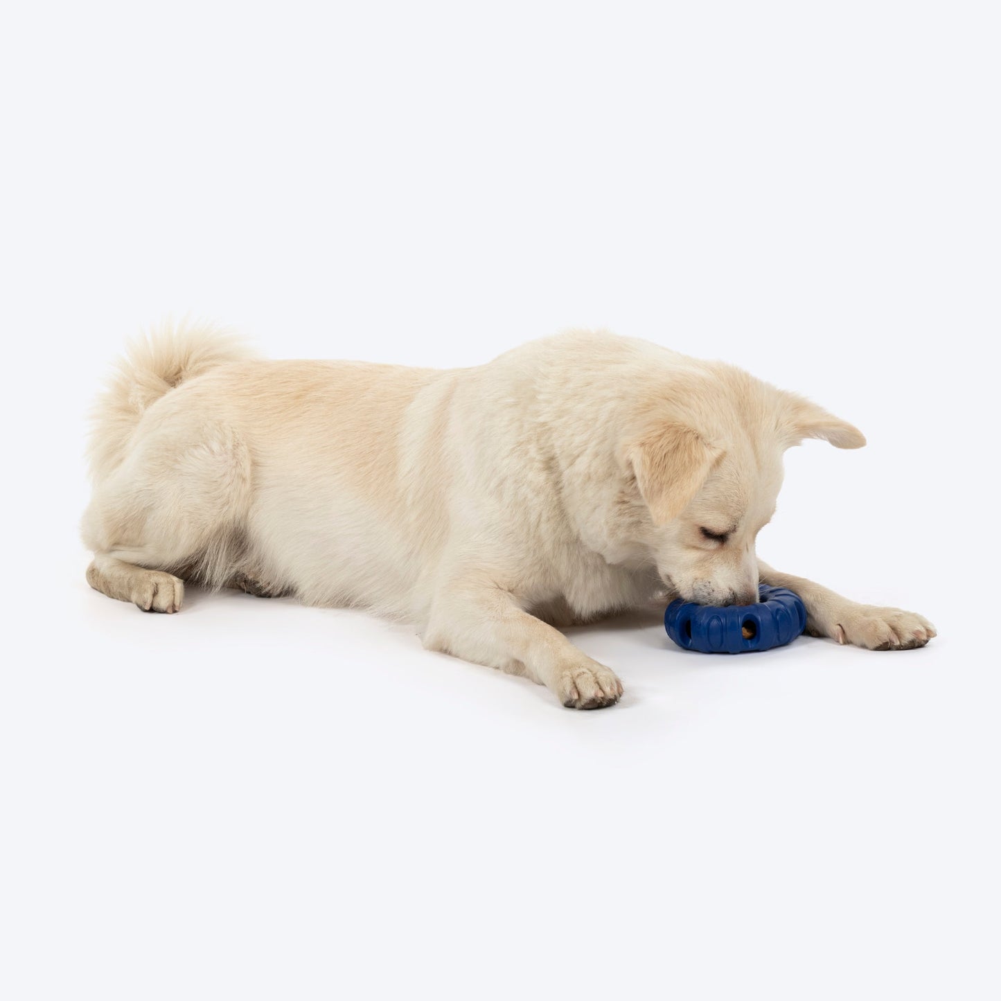 HUFT Chewtastic Roll-A-Tyre Chew Toy For Dog - Blue - Heads Up For Tails