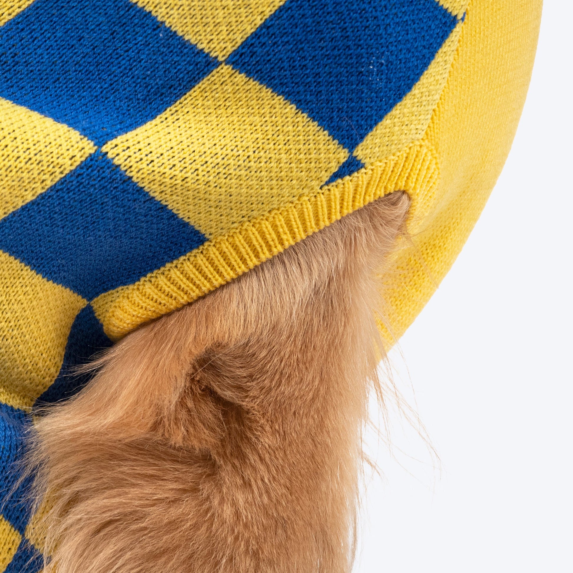TLC Sunny Checks Sweater For Dog - Yellow & Blue - Heads Up For Tails