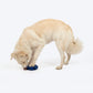 HUFT Chewtastic Roll-A-Tyre Chew Toy For Dog - Blue - Heads Up For Tails