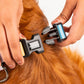 HUFT Nylon Chase the Rainbow Dog H Harness - Heads Up For Tails