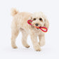 Dash Dog Loopster Rope Toy For Dog - Pink & Orange - Heads Up For Tails