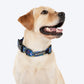 HUFT Scribble Dribble Collar For Dog - Blue - Heads Up For Tails