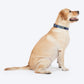 HUFT Scribble Dribble Collar For Dog - Blue - Heads Up For Tails