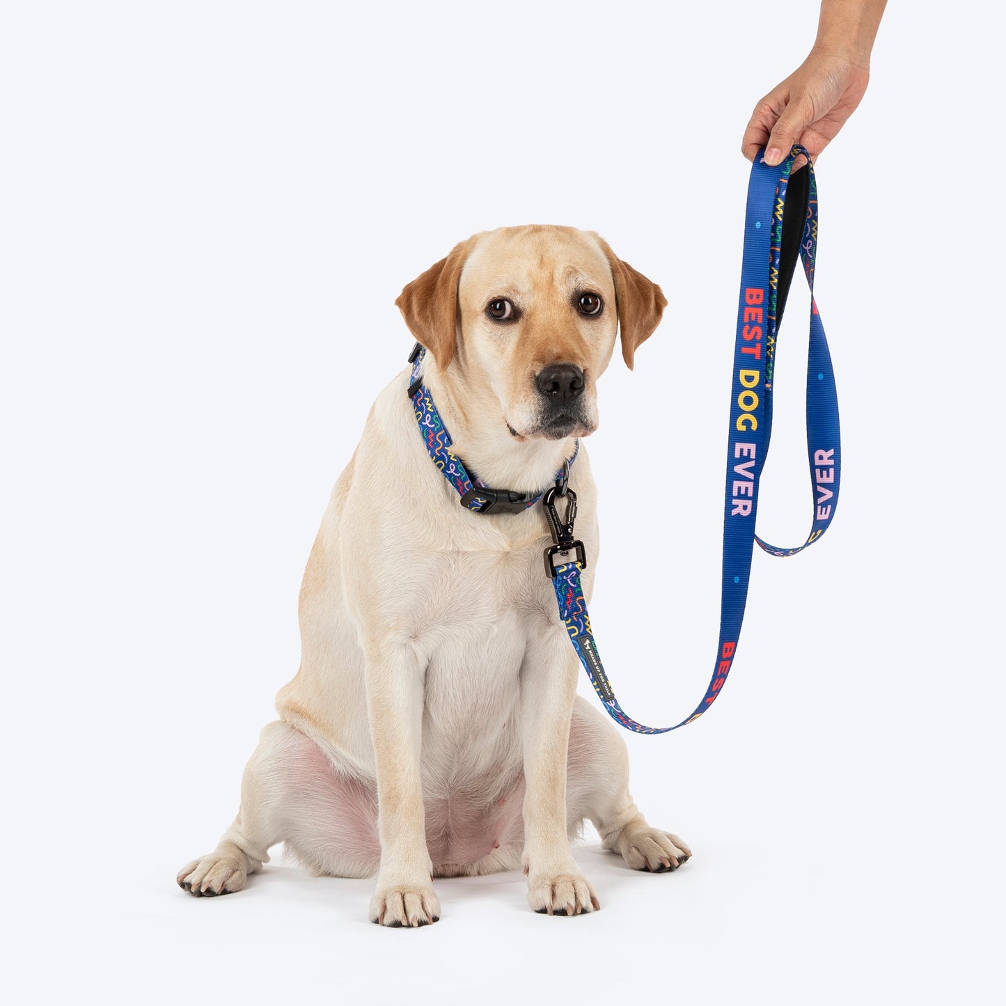HUFT Scribble Dribble Leash For Dog â€“ Blue - Heads Up For Tails