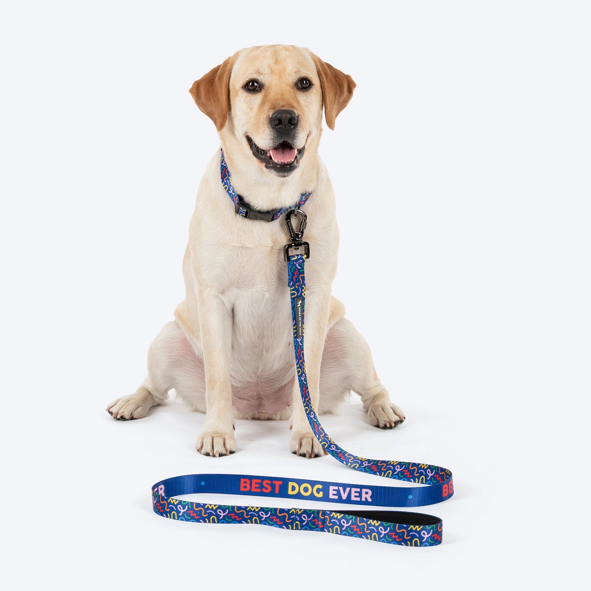 HUFT Scribble Dribble Leash For Dog â€“ Blue - Heads Up For Tails