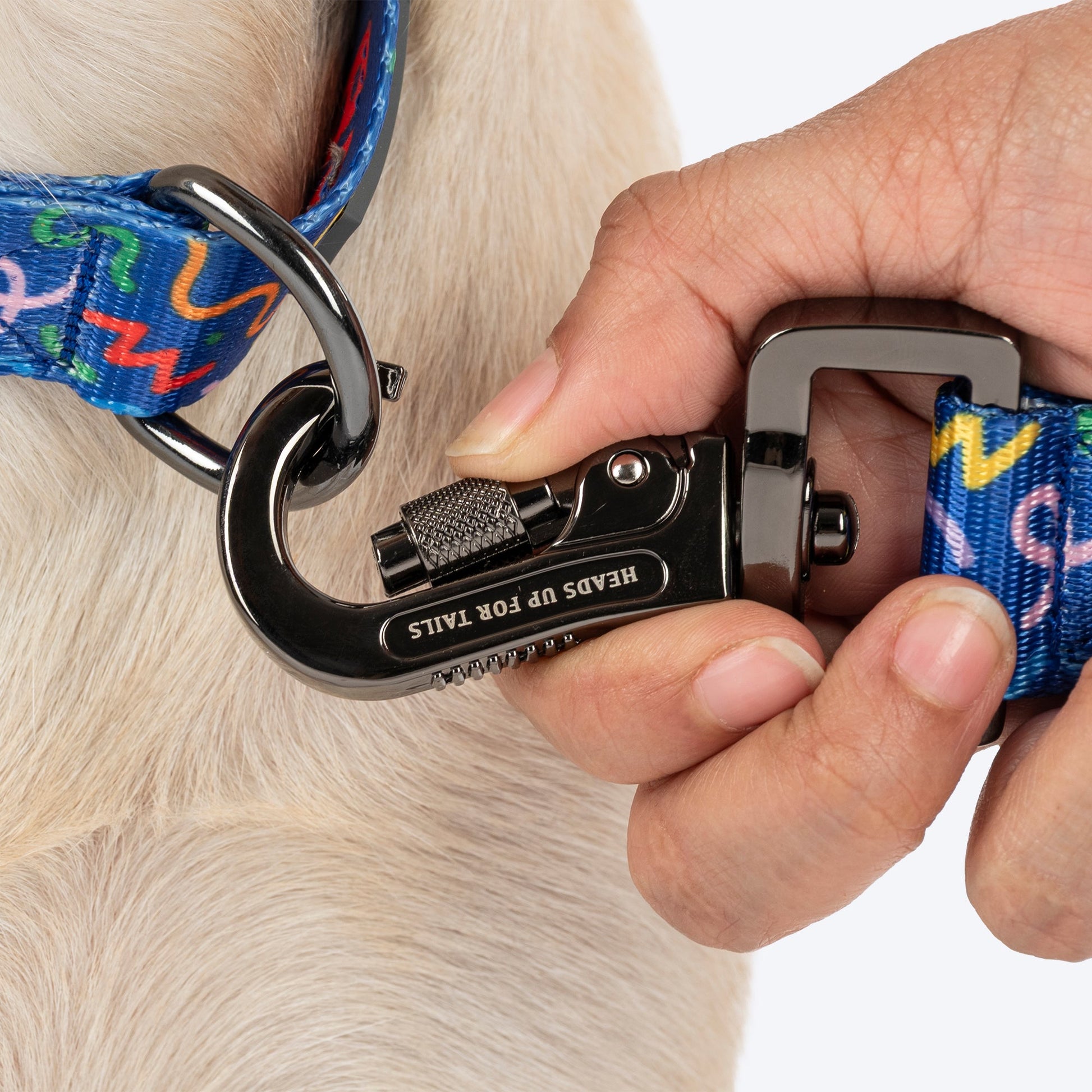 HUFT Scribble Dribble Leash For Dog â€“ Blue - Heads Up For Tails