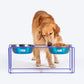 Dash Dog Rainbow Rush Elevated Double Diner With Steel Bowl Inserts For Dog - Violet - Heads Up For Tails