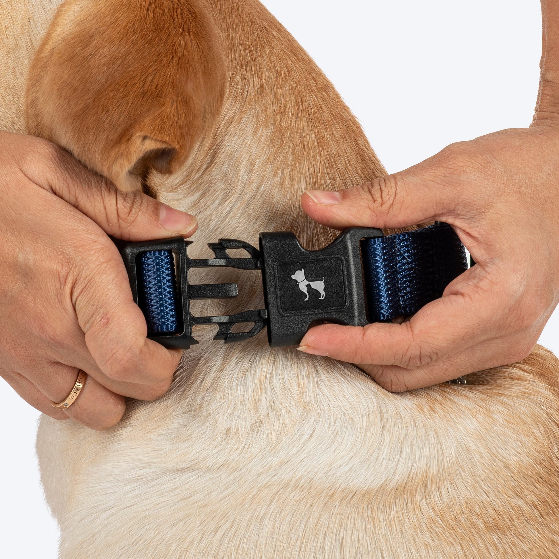 HUFT Classic Collar For Dog - Navy - Heads Up For Tails