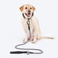 HUFT Xplorers Rope Leash With Carabiner For Dog - Grey - 5 ft - Heads Up For Tails