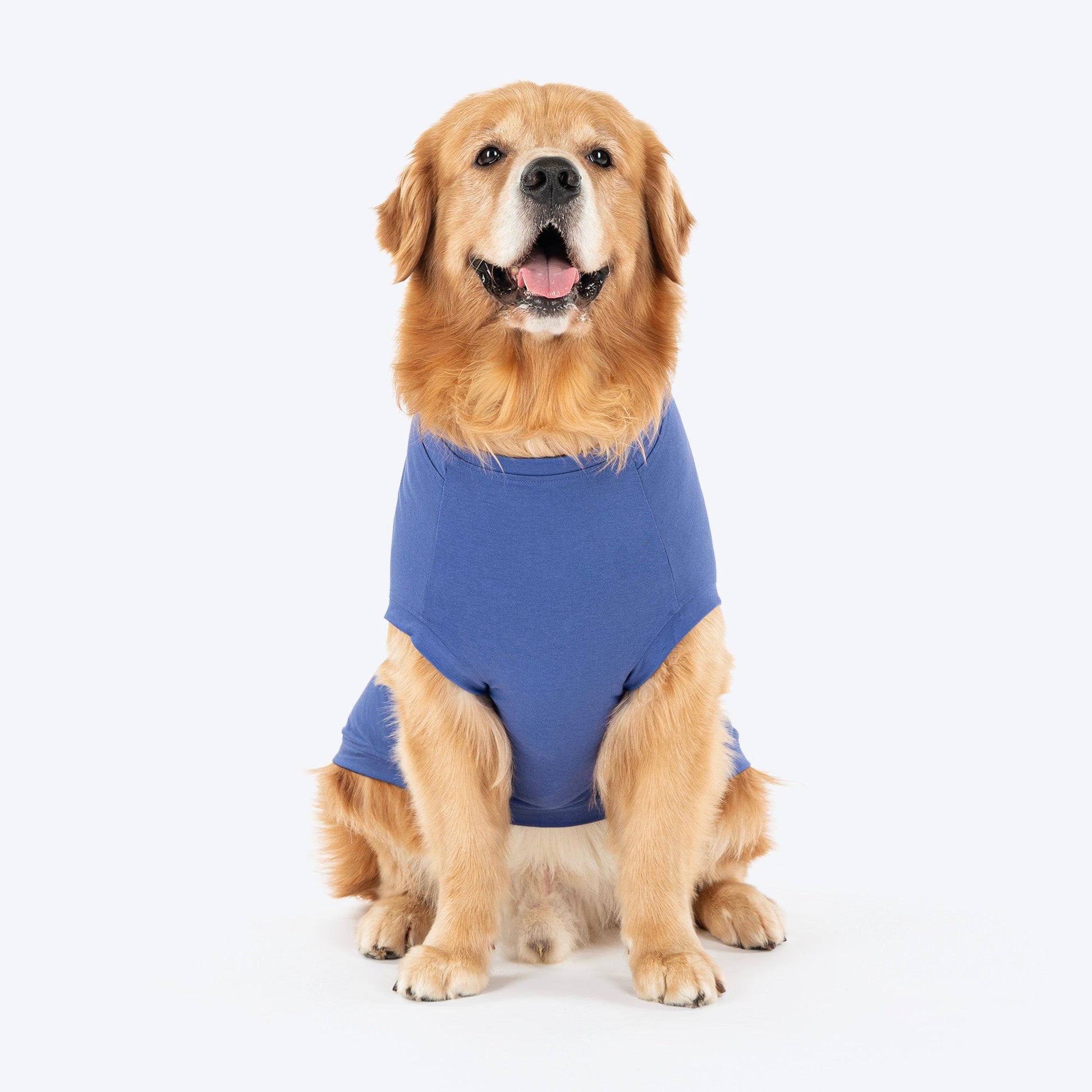 TLC Very Important Pet T-Shirt For Dog - Purple - Heads Up For Tails