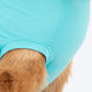 TLC The Family Favourite T-Shirt For Dog - Turquoise - Heads Up For Tails