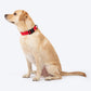 HUFT Classic Collar For Dog - Cherry Red - Heads Up For Tails