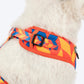 HUFT Dynamic Chevron Adjustable Harness For Dog - Red & Yellow - Heads Up For Tails