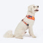 HUFT Dynamic Chevron Adjustable Harness For Dog - Red & Yellow - Heads Up For Tails